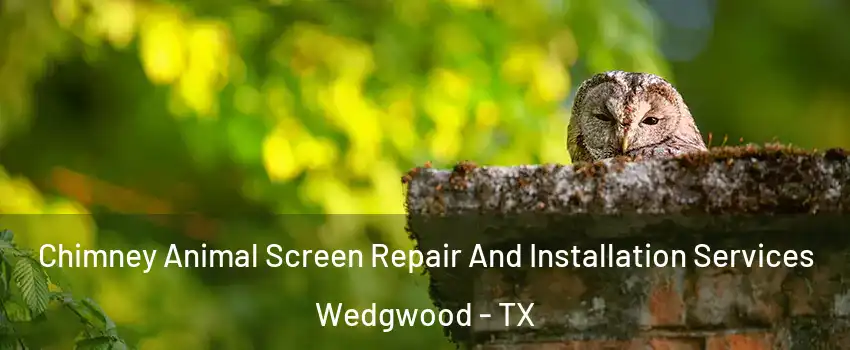 Chimney Animal Screen Repair And Installation Services Wedgwood - TX