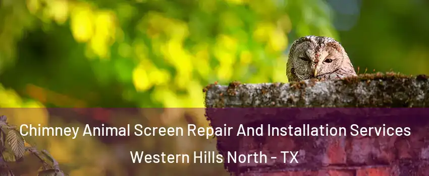 Chimney Animal Screen Repair And Installation Services Western Hills North - TX