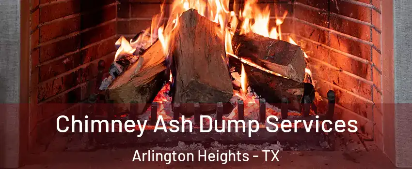 Chimney Ash Dump Services Arlington Heights - TX