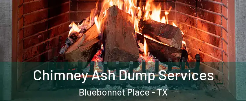 Chimney Ash Dump Services Bluebonnet Place - TX