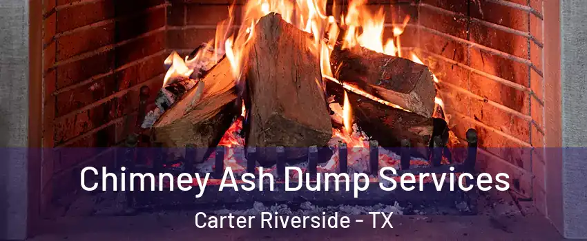 Chimney Ash Dump Services Carter Riverside - TX