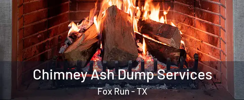 Chimney Ash Dump Services Fox Run - TX