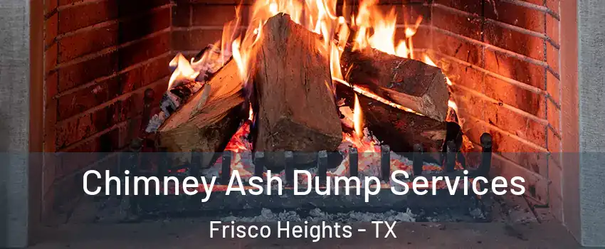 Chimney Ash Dump Services Frisco Heights - TX