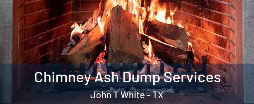 Chimney Ash Dump Services John T White - TX