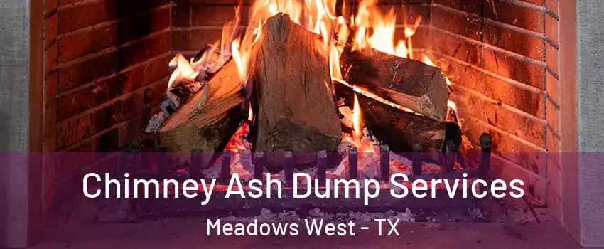 Chimney Ash Dump Services Meadows West - TX