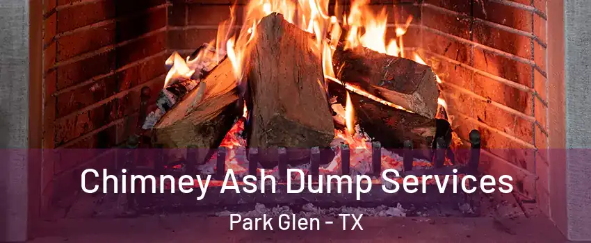 Chimney Ash Dump Services Park Glen - TX