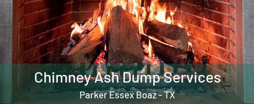 Chimney Ash Dump Services Parker Essex Boaz - TX