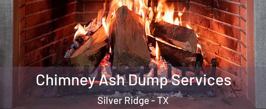 Chimney Ash Dump Services Silver Ridge - TX