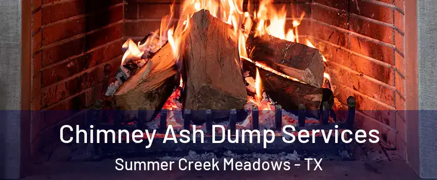 Chimney Ash Dump Services Summer Creek Meadows - TX