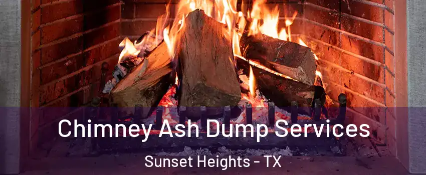 Chimney Ash Dump Services Sunset Heights - TX