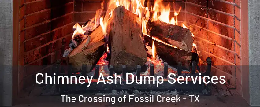 Chimney Ash Dump Services The Crossing of Fossil Creek - TX