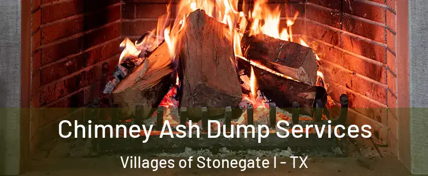 Chimney Ash Dump Services Villages of Stonegate I - TX