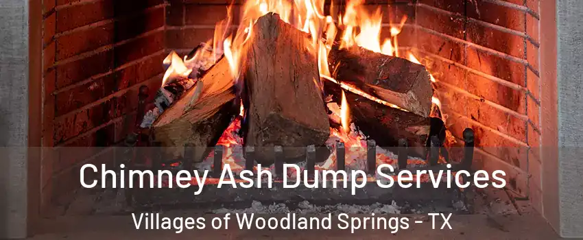 Chimney Ash Dump Services Villages of Woodland Springs - TX