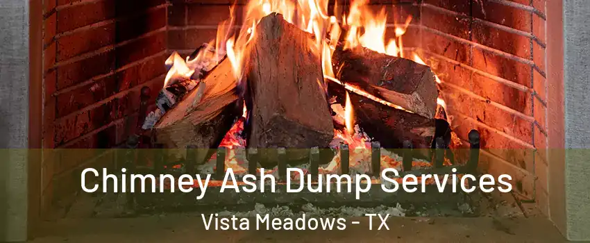 Chimney Ash Dump Services Vista Meadows - TX