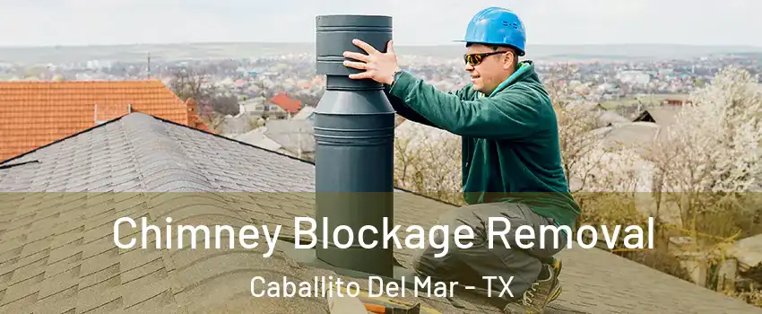 Chimney Blockage Removal Caballito Del Mar - TX