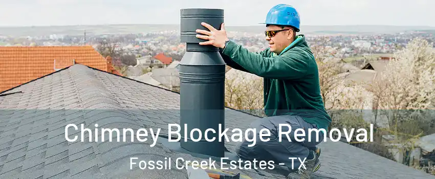 Chimney Blockage Removal Fossil Creek Estates - TX