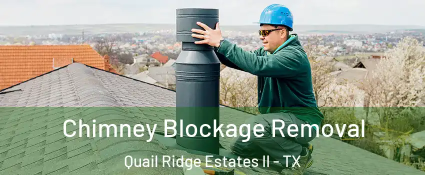 Chimney Blockage Removal Quail Ridge Estates II - TX