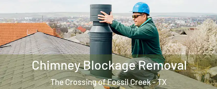 Chimney Blockage Removal The Crossing of Fossil Creek - TX