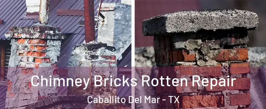 Chimney Bricks Rotten Repair Caballito Del Mar - TX