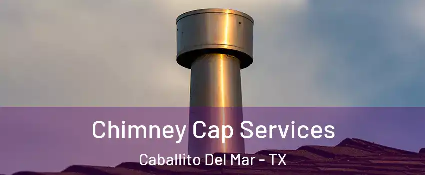 Chimney Cap Services Caballito Del Mar - TX