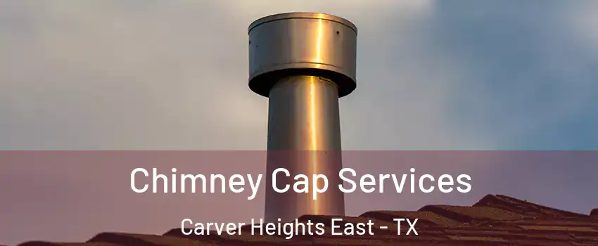 Chimney Cap Services Carver Heights East - TX