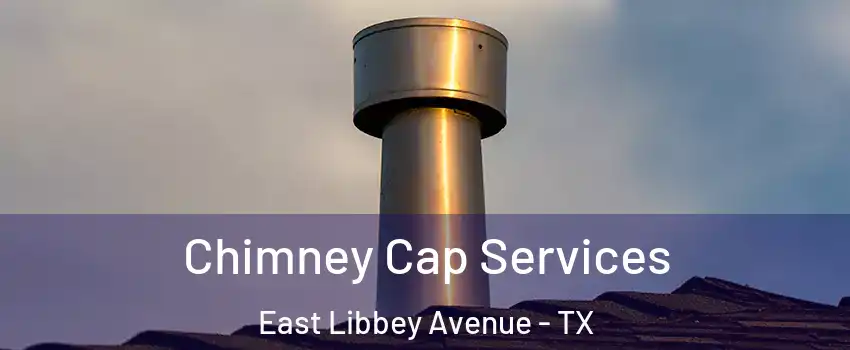 Chimney Cap Services East Libbey Avenue - TX