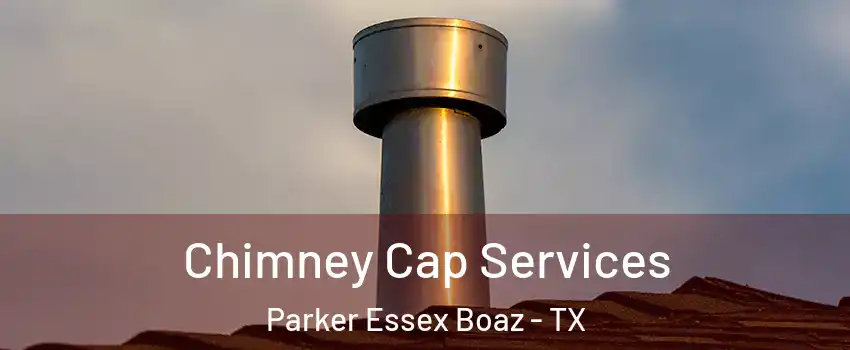 Chimney Cap Services Parker Essex Boaz - TX