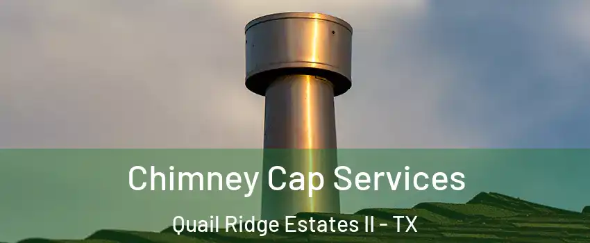 Chimney Cap Services Quail Ridge Estates II - TX