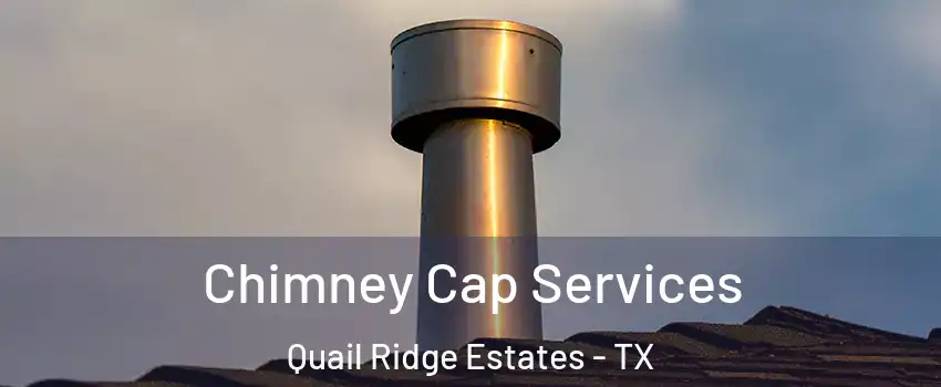 Chimney Cap Services Quail Ridge Estates - TX