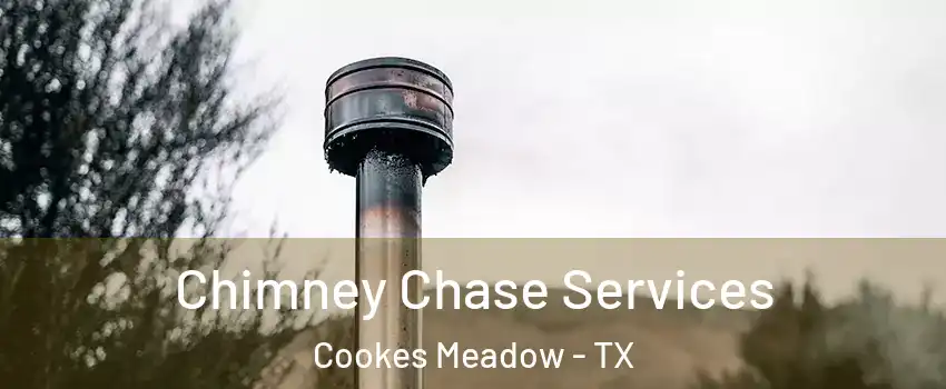 Chimney Chase Services Cookes Meadow - TX