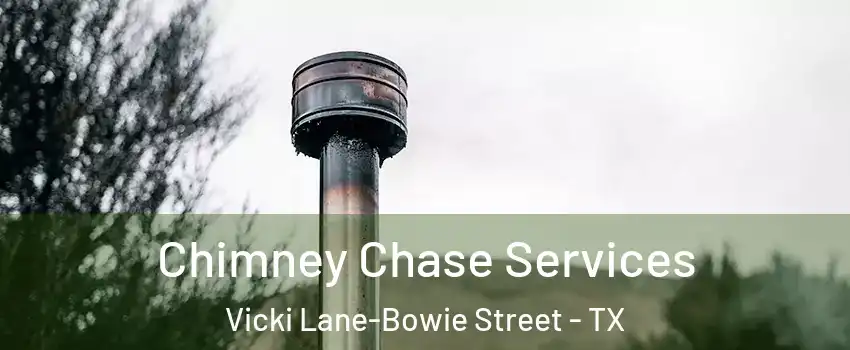 Chimney Chase Services Vicki Lane-Bowie Street - TX