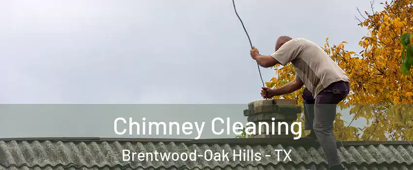 Chimney Cleaning Brentwood-Oak Hills - TX