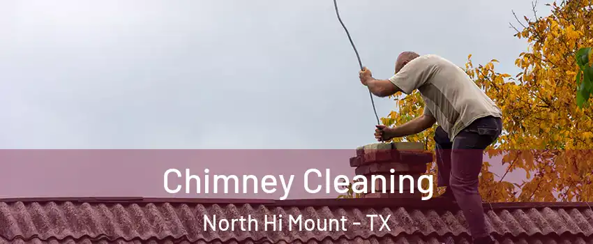 Chimney Cleaning North Hi Mount - TX