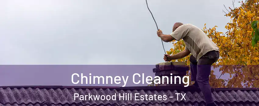 Chimney Cleaning Parkwood Hill Estates - TX