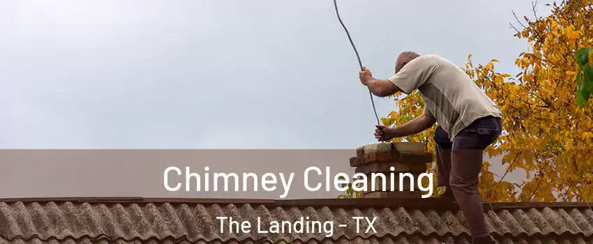 Chimney Cleaning The Landing - TX