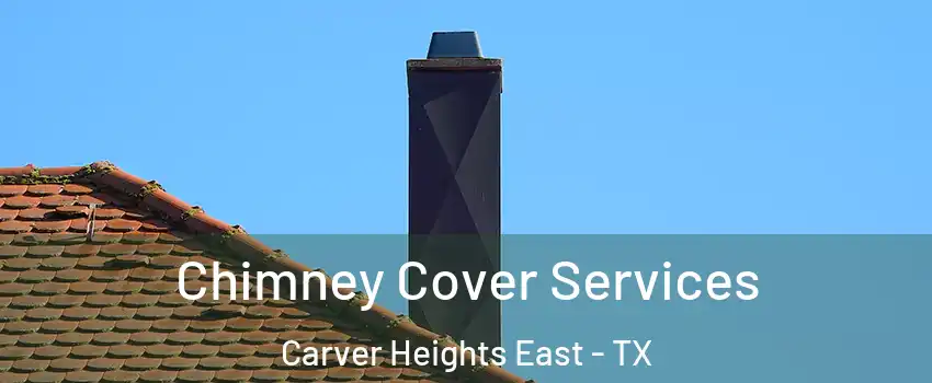 Chimney Cover Services Carver Heights East - TX