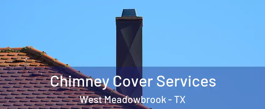 Chimney Cover Services West Meadowbrook - TX