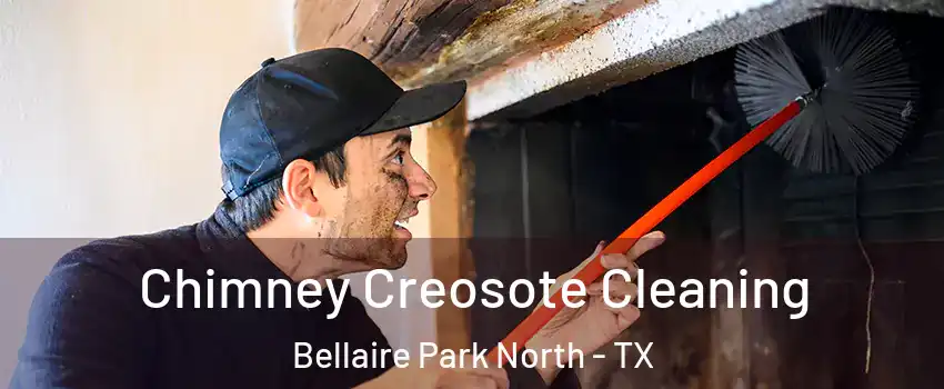 Chimney Creosote Cleaning Bellaire Park North - TX