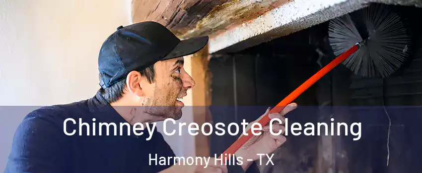 Chimney Creosote Cleaning Harmony Hills - TX