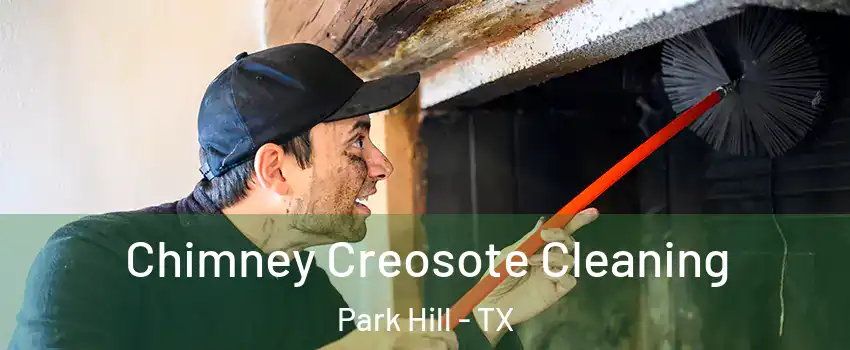 Chimney Creosote Cleaning Park Hill - TX