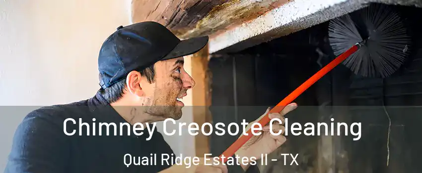 Chimney Creosote Cleaning Quail Ridge Estates II - TX