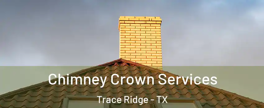 Chimney Crown Services Trace Ridge - TX