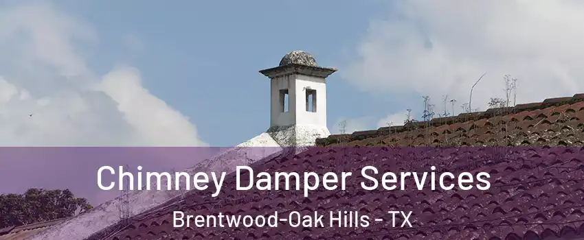 Chimney Damper Services Brentwood-Oak Hills - TX