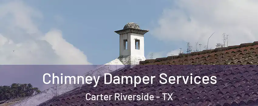 Chimney Damper Services Carter Riverside - TX