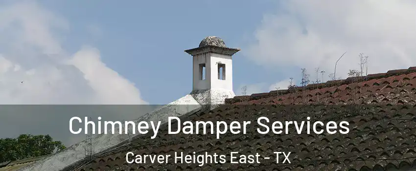 Chimney Damper Services Carver Heights East - TX