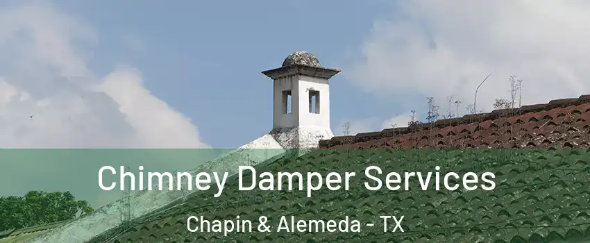 Chimney Damper Services Chapin & Alemeda - TX