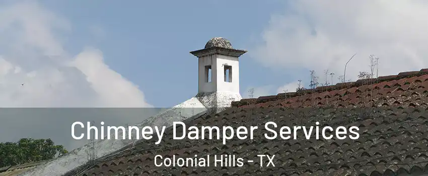 Chimney Damper Services Colonial Hills - TX