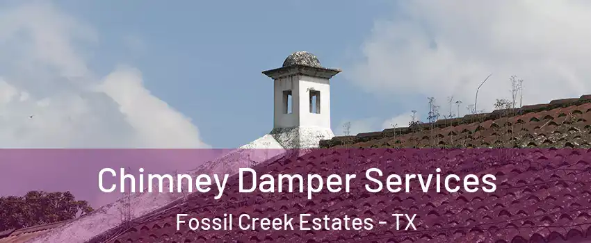 Chimney Damper Services Fossil Creek Estates - TX