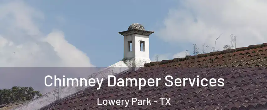 Chimney Damper Services Lowery Park - TX