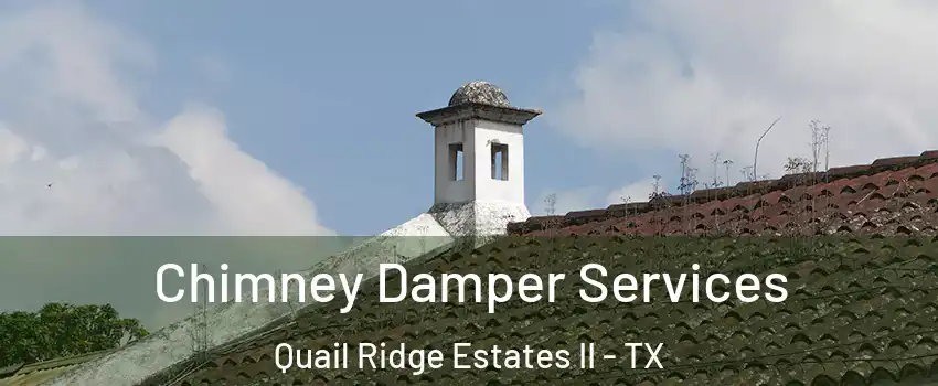 Chimney Damper Services Quail Ridge Estates II - TX